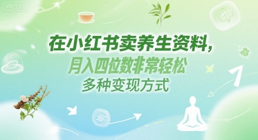 在小红书卖养生资料，月入四位数非常轻松，多种变现方式-网亿资源平台