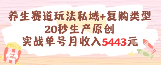 养生赛道玩法私域+复购类型，20秒生产原创实战单号月收入5k+-邪修侠
