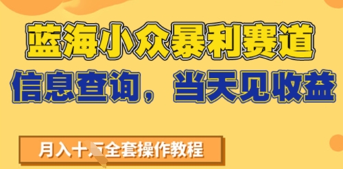 蓝海小众暴利赛道，信息查询，当天见收益，不讲玄学，7天搞了2W+-网亿资源平台
