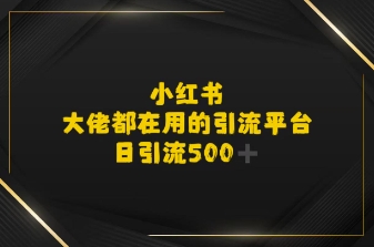 小红书，大佬都在用的大粉平台，日引流500+-网亿资源平台