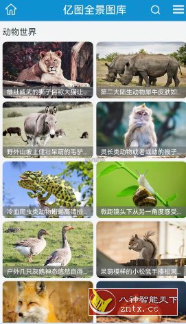 亿图 v1.2.6纯净版-网亿资源平台