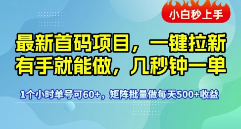 最新首码项目，一键拉新有手就能做，几秒钟一单，1个小时单号可60+，矩阵批量做每天5张【揭秘】-网亿资源平台