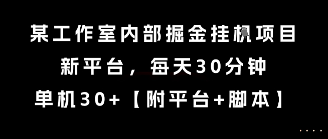 某工作室内部掘金挂G项目，新平台，每天30分钟，单机30+【揭秘】-网亿资源平台