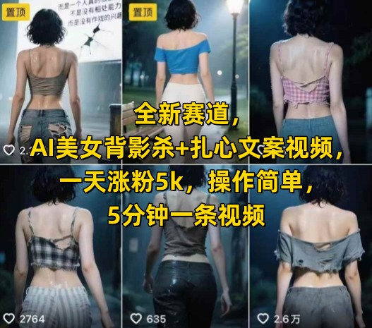 全新赛道，AI美女背影杀+扎心文案视频，一天涨粉5k，操作简单，5分钟一条视频-邪修侠 - 演示