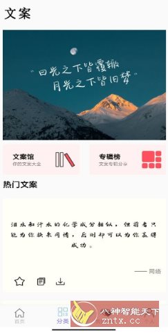 文案大师 v1.0纯净版-网亿资源平台