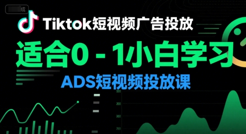 Tiktok短视频广告投放，适合0-1小白学习ADS短视频投放课-网亿资源平台