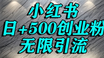 小红书无限引流创业粉，单人操作日引500+精准创业粉-网亿资源平台