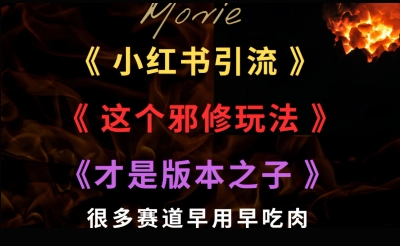 最近小红书引流这个邪修玩法才是版本之子，很多赛道早用早吃肉-网亿资源平台