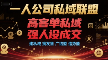 一人公司私域联盟,高客单私域,强人设成交,建私域 搞发售 广结盟 造势能-邪修侠 - 演示