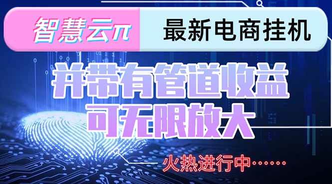 （15314期）智慧云π电脑挂机单机每天收益300—500+ 并带有团队管道收益 可无限放大-网亿资源平台