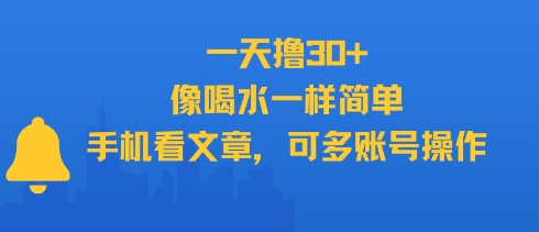 一天撸30+，像喝水一样简单，手机看文章，可多账号操作-网亿资源平台