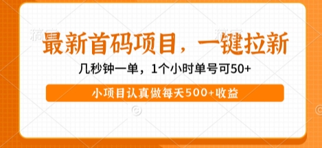 最新首码项目，操作最简单，收益高，一键拉新，1个小时单号可50+，小项目认真做每天5张+收益【揭秘】-网亿资源平台