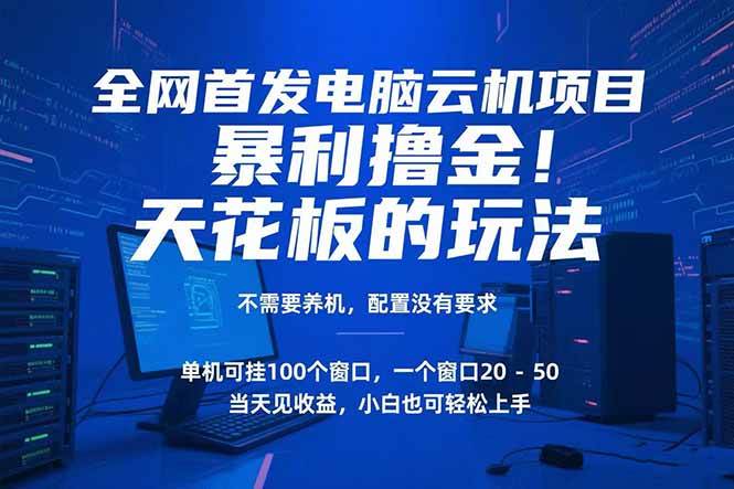 （15323期）电脑云机项目 暴力撸金玩法，不需要养机 配置没有要求 单机100个窗口一…-网亿资源平台