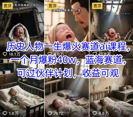 历史人物一生爆火赛道ai课程，一个月爆粉40w，蓝海赛道，可过伙伴计划，收益可观-网亿资源平台