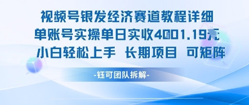 视频号银发经济赛道单账号实操单日实收1k+，小白轻松上手长期项目-邪修侠 - 演示