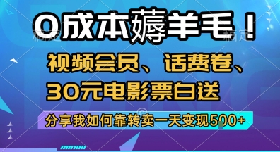 0成本薅羊毛!视频会员、话费卷、30元电影票白送，分享我如何靠转卖一天变现5张+【揭秘】-网亿资源平台