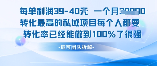 每单利润40一个月7k+转化最高的私域项目，每个人都要的产品转化率已经能做到100%-邪修侠 - 演示