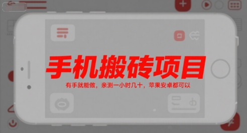 手机搬砖项目，有手就能做，亲测一小时几十，苹果安卓都可以-邪修侠 - 演示