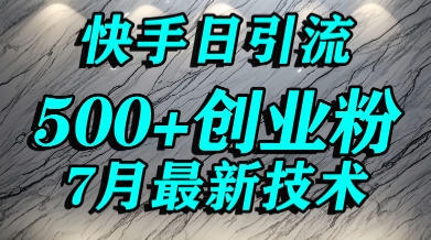 创业粉怎么打？快手精准引流创业粉，宝妈群体日进500+精准流量-邪修侠 - 演示