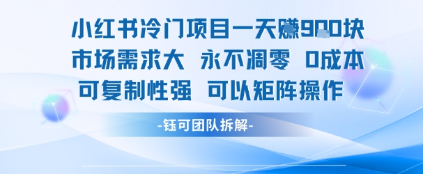 小红书冷门项目一天收益9张，市场需求大，0成本，可复制性强可以矩阵操作-邪修侠 - 演示