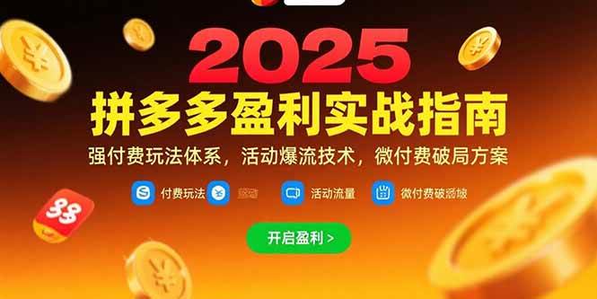 （15357期）拼多多盈利实战指南，强付费玩法，活动爆流技术，微付费破局方案(更新7月)-网亿资源平台