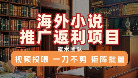 海外小说推广返利项目，视频投喂， 一刀不剪，矩阵批量-邪修侠