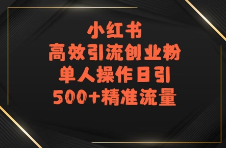小红书高效引流创业粉，单人操作日引500+精准流量-网亿资源平台