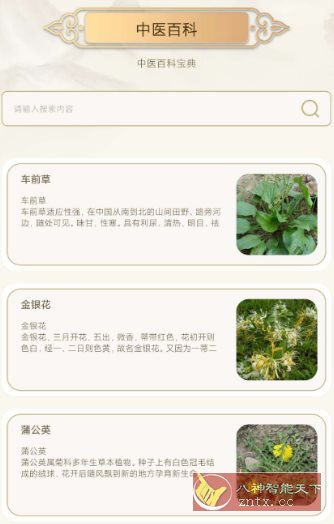 中医经络穴位典籍v1.3纯净版-网亿资源平台