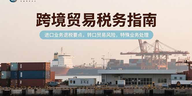 （15381期）跨境贸易税务指南，进口业务退税要点，转口贸易风险，特殊业务处理-网亿资源平台