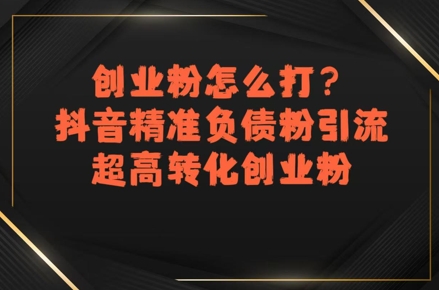 创业粉怎么打?抖音精准负债粉引流,超高转化创业粉-邪修侠 - 演示