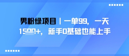 男粉绿项目，一单99，新手0基础也能上手，刚需稳定-网亿资源平台