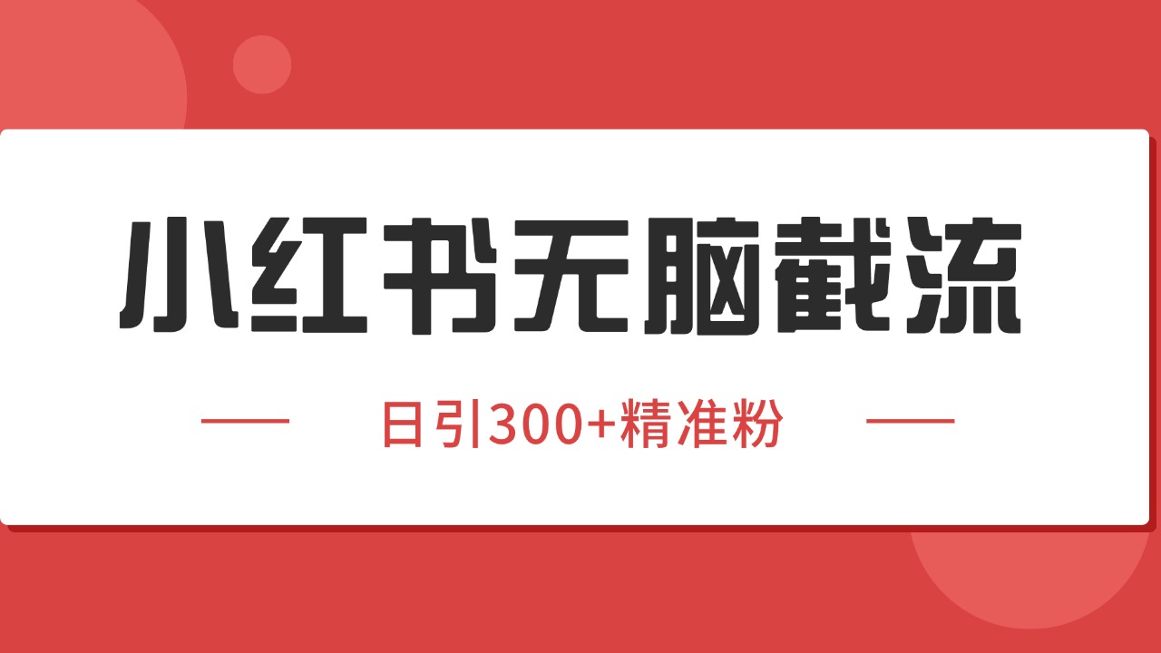小红书截流同行客源，独家野路子获客玩法 日引200+暴力获客-邪修侠 - 演示
