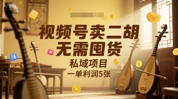 视频号卖二胡，无需囤货，私域项目，一单利润5张-网亿资源平台