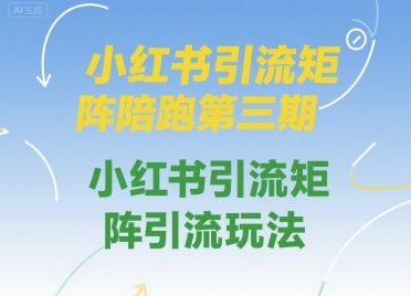 小红书引流矩阵陪跑第三期，小红书引流矩阵引流玩法-邪修侠 - 演示