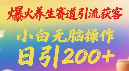 爆火养生赛道引流获客，小白无脑操作，日引200+-网亿资源平台