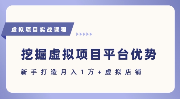 抓住虚拟项目各平台优势，新手轻松月入1W+(给出具体建议)-邪修侠 - 演示