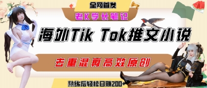海外tiktok小说推文暴力项目，高停留率，高转化率，上手后一天搞顿饭钱不是问题-邪修侠 - 演示