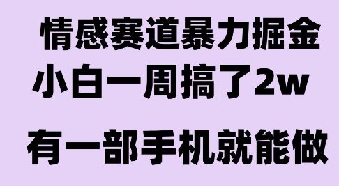 情感暴力掘金项目，新人操作一周挣了2W，长期稳定小白可做【揭秘】-网亿资源平台