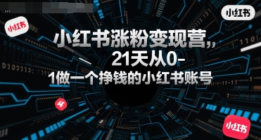 小红书涨粉变现营，21天从0-1做一个挣钱的小红书账号-邪修侠 - 演示