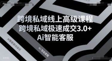 跨境私域线上高级课程，跨境私域极速成交3.0+Ai智能客服-网亿资源平台