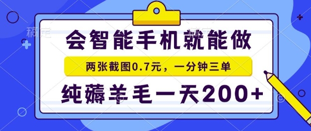 2025年零撸手机项目，二十秒一单，纯薅羊毛，一天200+做就有【揭秘】-邪修侠 - 演示