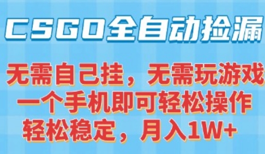 CSGO自动捡漏项目，最新独家玩法，一个手机可操作，新手小白轻松月入1W+，操作简单易上手【揭秘】-网亿资源平台