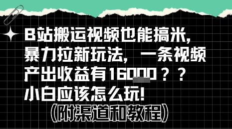 b站掘金计划？搬运视频也能挣拉新的收益，小白应该怎么玩！-网亿资源平台