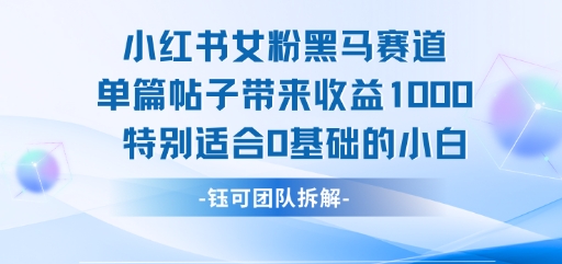 小红书女粉黑马赛道单篇帖子带来收益1k+,特别适合0基础的小白-邪修侠 - 演示