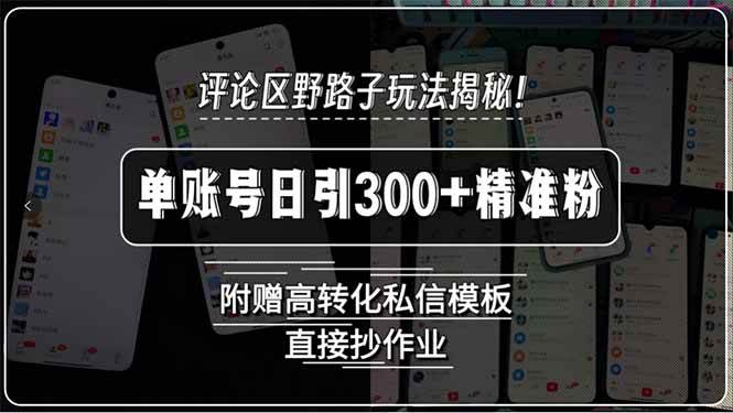 （15466期）评论区野路子玩法揭秘！单账号日引300+精准粉，附赠高转化私信模板，直…-网亿资源平台