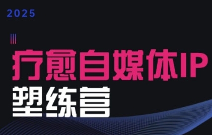 2025治愈自媒体IP训练营，专为疗愈领域从业者打造-邪修侠 - 演示
