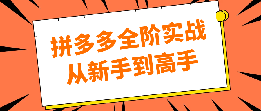 拼多多全阶实战从新手到高手-网亿资源平台
