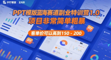 PPT模版蓝海赛道副业特训营1.0，项目非常简单粗暴，客单价可以高到150-200-网亿资源平台