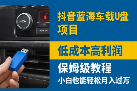 抖音蓝海车载U盘项目，低成本高利润保姆级教程，小白也能轻松月入过W-网亿资源平台