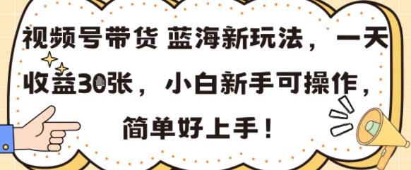 视频号带货蓝海新玩法，一天收益3张，小白新手可操作，简单好上手!-网亿资源平台